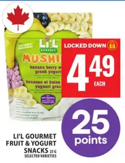 Food Basics LI'L GOURMENT FRUIT & YOGURT SNACKS offer