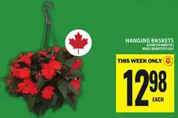 Food Basics HANGING BASKETS offer