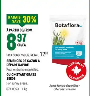 BMR SEMENCES DE GAZON À DÉPART RAPIDE offer
