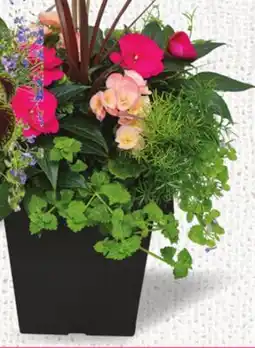 Metro PATIO PLANTERS offer