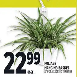 Metro FOLIAGE HANGING BASKET offer