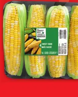 Metro SWEET CORN offer