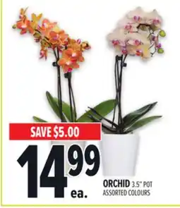 Metro ORCHID offer