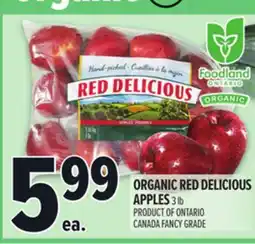 Metro FOODLAND ORGANIC RED DELICIOUS APPLES offer