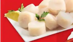 Metro JUMBO SCALLOP MEDALLIONS offer