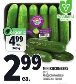 Metro MINI CUCUMBERS offer