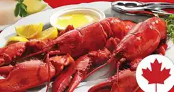 Metro FRESH COOKED LOBSTERS offer
