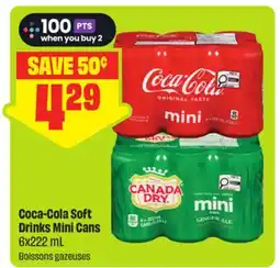 FreshCo Coca-Cola Soft Drinks Mini Cans offer