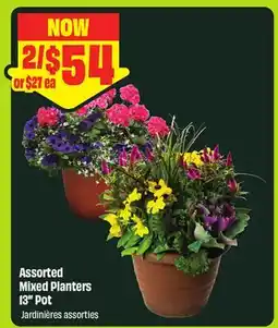 FreshCo Assorted Mixed Planters 13 Pot offer