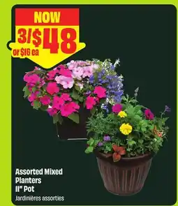 FreshCo Assorted Mixed Planters 11 Pot offer