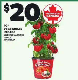 Loblaws PC VEGETABLES IN CAGE, 10 INCH offer