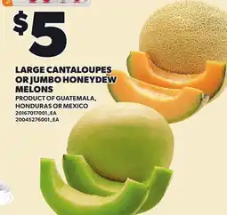 Loblaws LARGE CANTALOUPES OR JUMBO HONEYDEW MELONS offer
