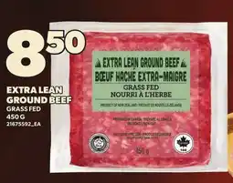 Loblaws EXTRA LEAN GROUND BEEF offer