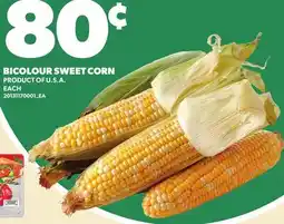 Loblaws BICOLOUR SWEET CORN offer