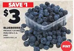 Loblaws BLUEBERRIES, PINT offer