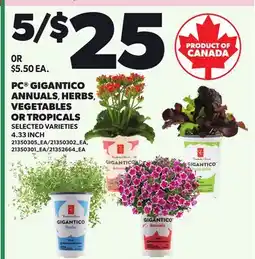 Loblaws PC GIGANTICO ANNUALS, HERBS, VEGETABLES OR TROPICALS, 4.33 INCH offer