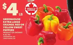 Loblaws GREENHOUSE EXTRA LARGE ORANGE, RED OR YELLOW SWEET PEPPERS offer