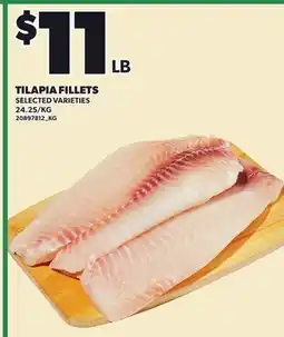 Loblaws TILAPIA FILLETS offer
