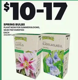 Loblaws SPRING BULBS offer