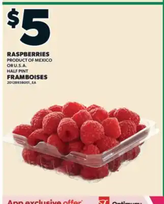 Valu-mart FRAMBOISES, HALF PINT offer