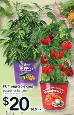 Fortinos PC VEGETABLE CAGE, 10.5 inch offer