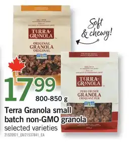 Fortinos TERRA GRANOLA SMALL BATCH NON-GMO GRANOLA offer