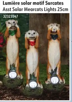 Sushi Shop Asst Solar Mearcats Lights 25cm offer