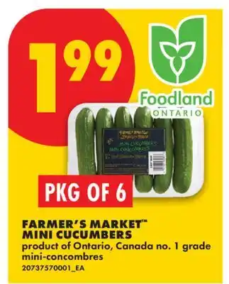No Frills FARMER'S MARKET MINI CUCUMBERS, PKG OF 6 offer