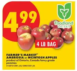 No Frills FARMER'S MARKET AMBROSIA or MCINTOSH APPLES, 4 LB BAG offer