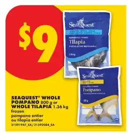 No Frills SEAQUEST WHOLE POMPANO, 800 G OR WHOLE TILAPIA, 1.36 KG offer