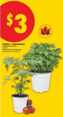 No Frills HERBS or VEGETABLES offer