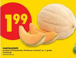 No Frills CANTALOUPE offer