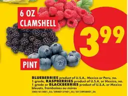 No Frills BLUEBERRIES offer