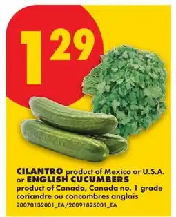No Frills CILANTRO or ENGLISH CUCUMBERS offer