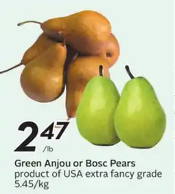 Sobeys Green Anjou or Bosc Pears offer