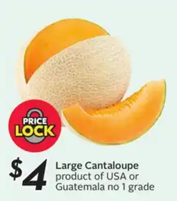 Sobeys Large Cantaloupe offer