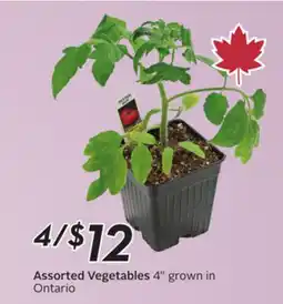 Sobeys Assorted Vegetables offer