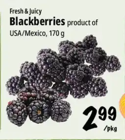 Farm Boy Fresh & Juicy Blackberries offer