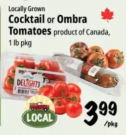 Farm Boy Locally Grown Cocktail or Ombra Tomatoes offer