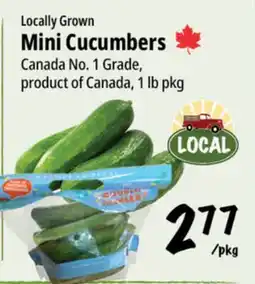 Farm Boy Locally Grown Mini Cucumbers offer
