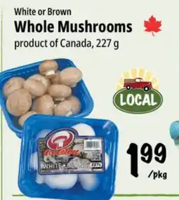 Farm Boy White or Brown Whole Mushrooms offer