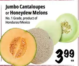 Farm Boy Jumbo Cantaloupes or Honeydew Melons offer