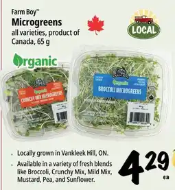 Farm Boy Farm Boy Microgreens offer