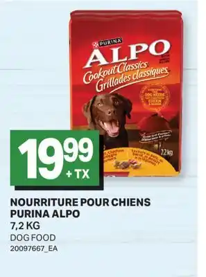 L'Intermarché NOURRITURE POUR CHIENS ALPO | DOG FOOD offer