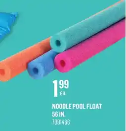Canac Noodle Pool Float 56 in offer