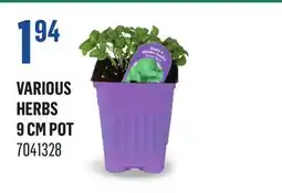 Canac Various Herbs offer