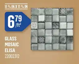 Canac GLASS MOSAIC ELISA offer