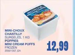 Wholesale Club MINI-CHOUX CHANTILLY offer