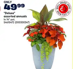 RONA Deluxe assorted annuals offer