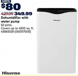 RONA Hisense Dehumidifier with water pump offer